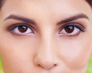Image showing Woman, portrait and eye vision with makeup, cosmetics and skincare with plant and green background. Wellness, care and facial treatment with female person and eyecare with dermatology and skin glow