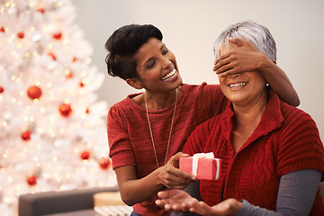 Image showing Senior, mother and daughter with surprise gift for Christmas, happiness with box and celebrate holiday at home. Festive season, decoration and present with happy people, family and bonding with love