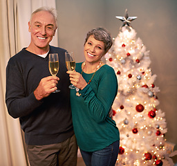 Image showing Christmas, portrait and champagne of senior couple with love, care and support in a home on holiday. Tree, retirement and marriage with a smile and hug in a house with celebration drink and cheers