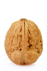 Image showing Walnut