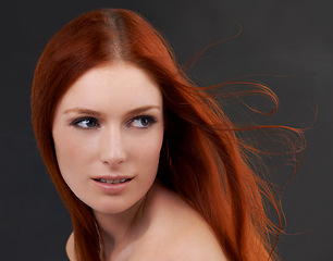 Image showing Hair care, red and woman with shine, beauty and treatment with beauty on a dark studio background. Luxury, person and model with confidence and grooming routine with growth or cosmetics with wellness