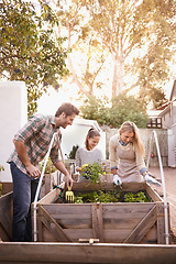 Image showing Happy family, gardening and plants in garden of home for organic growth, sustainability and agriculture. Parents, girl child and smile in backyard for learning, vegetable boxes and eco friendly hobby