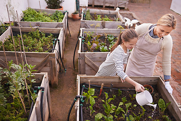 Image showing Gardening, happy mother and kid water vegetables, help or family together outdoor in summer. Mom, girl or can for natural plants, agriculture or growth of organic food in box at backyard for learning