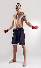 Image showing Shout, MMA and male fighter for martial arts, boxing and angry on white background. Fist, athlete and muscle from exercise for man kickboxer, studio and training for impact sports competition