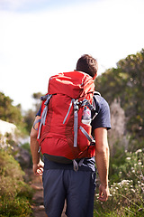 Image showing Man, hiking and nature for training, health and wellness with back and mountain. Athlete, exercise and adventure with summer, sunshine and backpack journey on cape town trail with travel and vacation