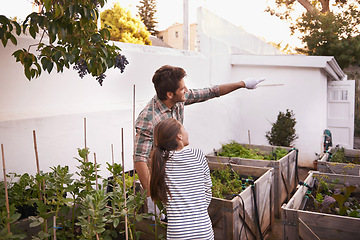 Image showing Father, daughter and gardening with pointing in home for bonding, happy family and curious child. Man, girl kid and learning with sustainability, agriculture and plant growth in backyard of house