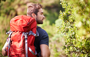 Image showing Man, hiking and nature for fitness, health and wellness with back and mountain. Athlete, exercise and adventure with summer, sunshine and backpack journey on cape town trail with travel and vacation