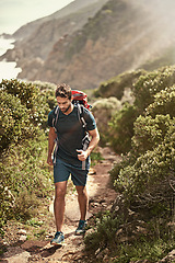 Image showing Man, hiking and nature for cardio, health and wellness with back and mountain. Athlete, exercise and adventure with summer, sunshine and backpack journey on cape town trail with travel and vacation