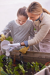 Image showing Garden, happy mother and child water plants, help or family bonding together outdoor in summer. Mom, girl and can for vegetables, agriculture or growth of organic food in box at backyard for learning