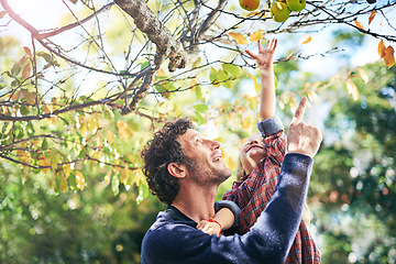 Image showing Father, daughter and picking apples in autumn with trees, leaves and curious for ecosystem and environment. Family, man and girl child with fruit in backyard of home for bonding, recreation and relax
