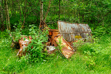 Image showing Abandoned rusty car in a lush forest in summer afternoon