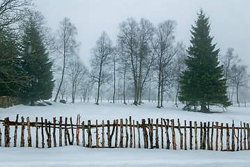 Image showing Winter wonderland in scandinavian forest at dawn with snow-cover