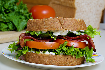 Image showing BLT sandwich 