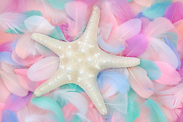 Image showing Starfish Seashell and Feather Colorful Background