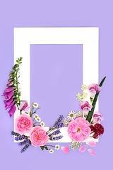 Image showing Summer Flowers for Alternative Herbal Medicine
