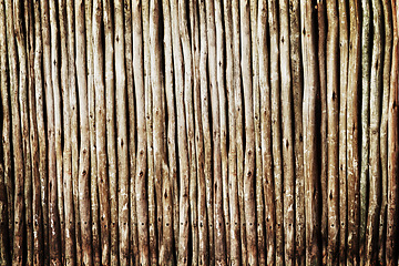 Image showing Wood, log and stick for timber, pattern and lines for texture and bamboo for wallpaper and earth on closeup. Lumber and firewood together for brown, raw and natural for botany, eco and solid