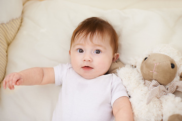 Image showing Baby, bed and portrait with sheep in home, above and healthy with growth, development and wellness in morning. Infant, child and newborn with lamb doll, soft toys and relax in nursery at family house