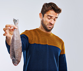 Image showing Man, disgust and fish with bad odor, smell or stench of animal or sea creature on a gray studio background. Male person with gross facial expression of disgusted aroma or smelly odd stink on mockup