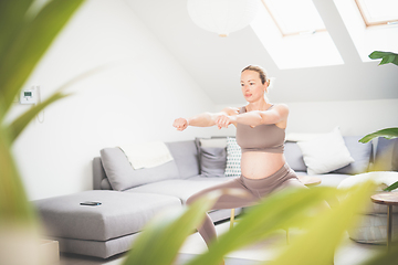 Image showing Young beautiful pregnant woman training pilates at home in her living room. Healthy lifestyle and active pregnancy and motherhood concept.