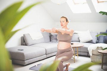 Image showing Young beautiful pregnant woman training pilates at home in her living room. Healthy lifestyle and active pregnancy and motherhood concept.