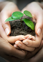 Image showing Hands, soil and people with plant for earth day, future or eco business, funding or support closeup. Recycle, sustainability or volunteer group with leaf growth for agriculture, climate change or ngo