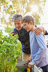 Image showing Man, child and hug in garden for gardening with plant, leaf and soil in environment on summer with sun. Father, son and backyard for conversation with tool and root for sustainable and learning