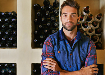 Image showing Wine cellar, man and portrait with alcohol, bottle and drink choice of sommelier and inventory. Winery, confidence and shelf with shop worker with vintage selection of liquor at a store or restaurant