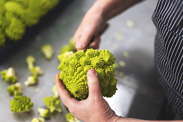 Image showing fresh Romanesco broccoli, with vibrant green patterns