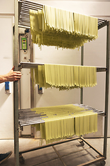 Image showing Fresh pasta drying