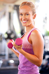 Image showing Sports, portrait and woman with weights in gym with arm workout for wellness, health and muscle strength. Dumbbells, exercise and female athlete with equipment for weightlifting in fitness center.