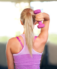 Image showing Fitness, workout and woman with dumbbell in gym for exercise, arm strength and bodybuilding wellness. Female person, muscle and back with equipment for power training, weightlifting and healthy body