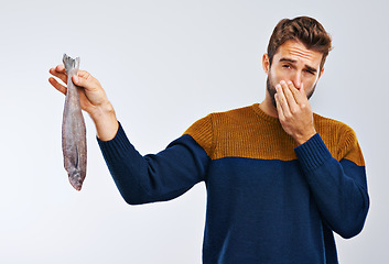 Image showing Man, disgust and fish with smelling odor, bad stench of animal or sea creature on a gray studio background. Male person with gross facial expression of disgusted aroma or smelly odd stink on mockup