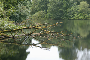 Image showing Lake