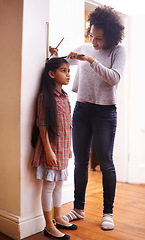 Image showing Parent, child and measuring height with ruler at wall for growth development in home for childhood, love or bonding. Female person, daughter and pencil in apartment for size checking, youth or tape