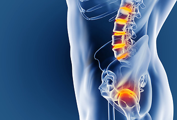 Image showing Illustration, skeleton and highlight for medical anatomy and healthcare on blue studio background. Inflammation, medicare and diagnosis with emergency and injury with frame or physiotherapy with pain