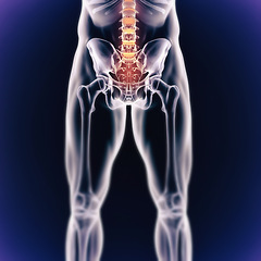 Image showing Male body, skeleton and pain with graphic for xray, medical and overlay of exam or analysis. 3D of anatomy, radiology and pelvis with spine, hip and legs illustration for injury on a dark background