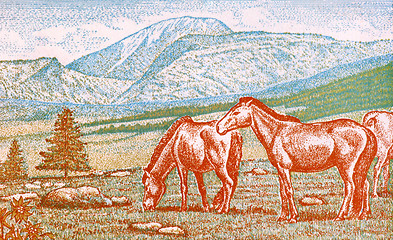 Image showing Mongolian Horses