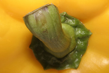 Image showing Yellow Pepper