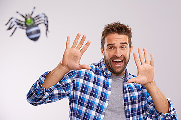 Image showing Man, scared and spider with shout in studio with arachnophobia terror or scream, wildlife or white background. Male person, hands and insect fear or animal danger on mockup space, afraid or tarantula
