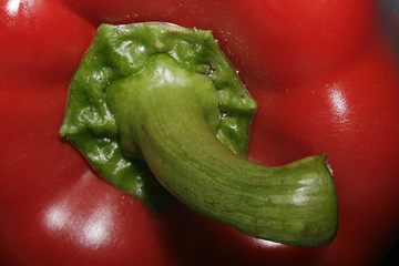 Image showing Red Pepper