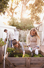 Image showing Learning, happy mother and child in garden with plant, helping or family together outdoor in summer. Mom, girl and smile for agriculture at backyard with vegetables or growth of organic food in boxes