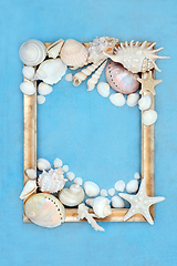 Image showing Seashell Abstract Picture Frame Art 