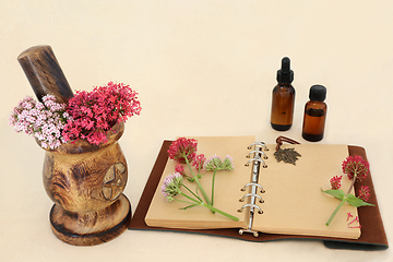 Image showing Valerian Herb Flowers Perfume Making