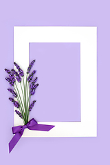 Image showing Lavender Flower Herb Abstract Floral Background Frame