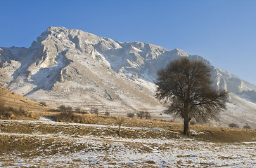 Image showing Mild winter landscape