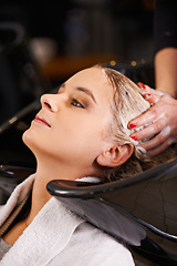 Image showing Shampoo, washing and woman at sink with hairdresser for professional haircare, cleaning or luxury treatment. Grooming, hair care and client at salon basin with soap, water and small business service