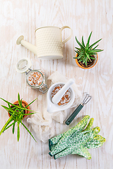 Image showing Preparing  crushed eggshells for  vegetable bed, eggshells stored for making natural fertilizers for growing vegetables