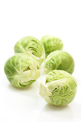 Image showing Brussels Sprouts