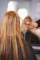 Image showing Style, cut and woman with hairdresser, comb and professional haircare, cleaning or luxury treatment. Grooming, hair care and client at beauty salon with mirror, reflection and small business service