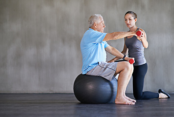 Image showing Physiotherapist, dumbbells and senior man on ball for fitness, rehabilitation or exercise at gym on mockup space. Elderly person, weightlifting or training for physical therapy, help or body health